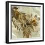 Leaves In Summer II-Hollack-Framed Giclee Print