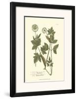 Leaves IV-Johann Wilhelm Weinmann-Framed Art Print