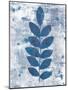 Leaves of Blue I-Courtney Prahl-Mounted Art Print