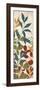 Leaves of Color II-Hugo Wild-Framed Premium Giclee Print