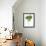 Leaves of Common Aspen Populus Tremula-null-Framed Giclee Print displayed on a wall