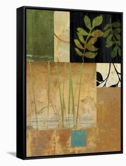 Leaves of Green II-Andrew Michaels-Framed Stretched Canvas