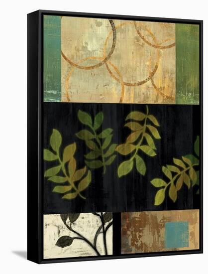 Leaves of Green II-Andrew Michaels-Framed Stretched Canvas