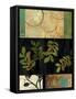 Leaves of Green II-Andrew Michaels-Framed Stretched Canvas