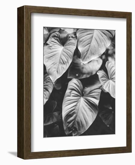 Leaves of Grey-Design Fabrikken-Framed Photographic Print