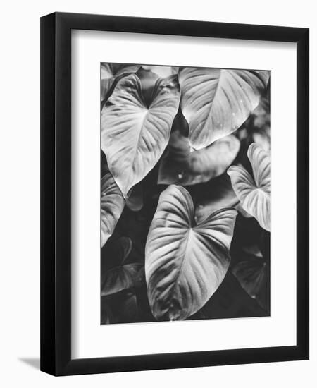 Leaves of Grey-Design Fabrikken-Framed Photographic Print