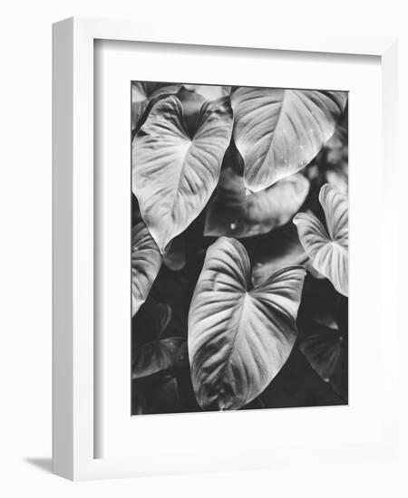 Leaves of Grey-Design Fabrikken-Framed Photographic Print