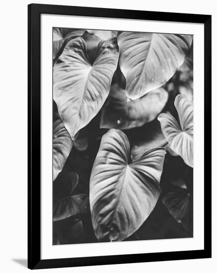 Leaves of Grey-Design Fabrikken-Framed Photographic Print