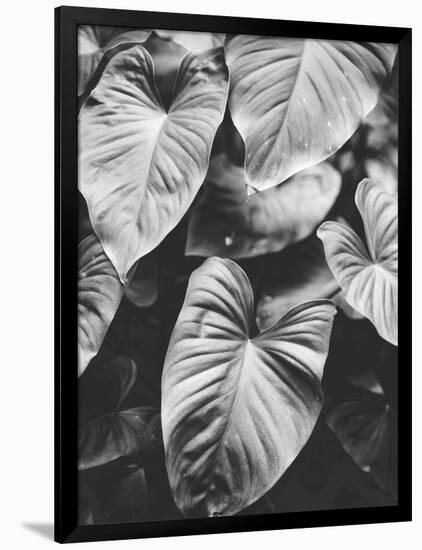 Leaves of Grey-Design Fabrikken-Framed Photographic Print
