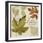 Leaves of Inspiration I-Sarah Mousseau-Framed Art Print