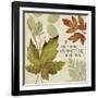 Leaves of Inspiration I-Sarah Mousseau-Framed Art Print