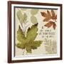 Leaves of Inspiration I-Sarah Mousseau-Framed Art Print