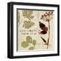 Leaves of Inspiration IV-Sarah Mousseau-Framed Art Print