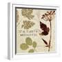 Leaves of Inspiration IV-Sarah Mousseau-Framed Art Print