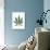 Leaves of Marijuana Plant, Cannabis-David Nunuk-Photographic Print displayed on a wall