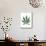 Leaves of Marijuana Plant, Cannabis-David Nunuk-Mounted Photographic Print displayed on a wall