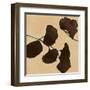 Leaves of Origin II-Julianne Marcoux-Framed Art Print