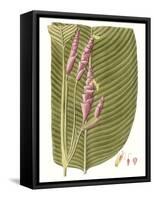 Leaves of the Tropics I-Vision Studio-Framed Stretched Canvas