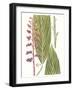 Leaves of the Tropics III-Vision Studio-Framed Art Print