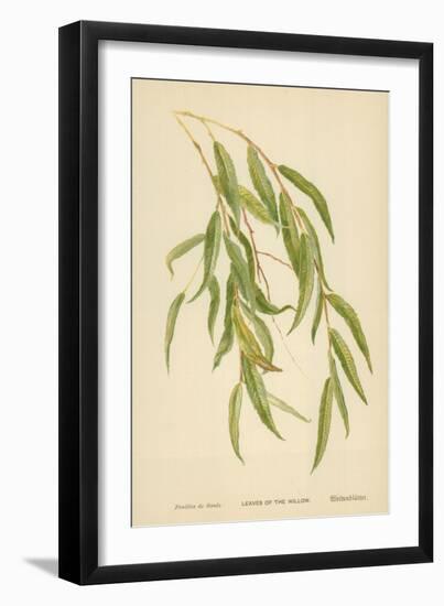 Leaves of the Willow-William Henry James Boot-Framed Giclee Print