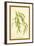 Leaves of the Willow-W.h.j. Boot-Framed Art Print