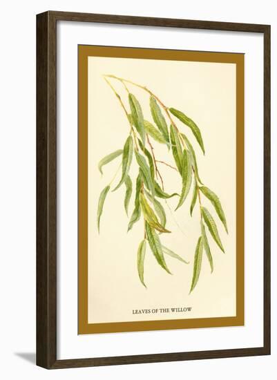 Leaves of the Willow-W.h.j. Boot-Framed Art Print