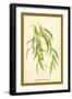 Leaves of the Willow-W.h.j. Boot-Framed Art Print