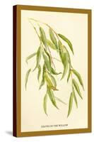 Leaves of the Willow-W.h.j. Boot-Stretched Canvas