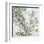 Leaves of Tree-Allison Pearce-Framed Art Print