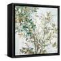 Leaves of Tree-Allison Pearce-Framed Stretched Canvas