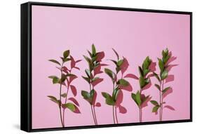 Leaves on a Pink Background-artjazz-Framed Stretched Canvas