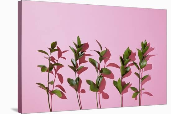 Leaves on a Pink Background-artjazz-Stretched Canvas