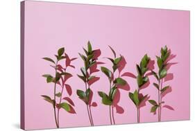 Leaves on a Pink Background-artjazz-Stretched Canvas