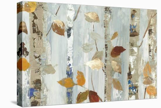 Leaves on Birch-Allison Pearce-Stretched Canvas