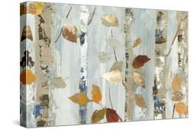 Leaves on Birch-Allison Pearce-Stretched Canvas