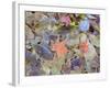 Leaves on ground covered in frost-null-Framed Photographic Print