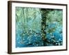 Leaves on the Water-null-Framed Photographic Print