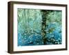 Leaves on the Water-null-Framed Photographic Print