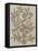 Leaves Sketches I-Asia Jensen-Framed Stretched Canvas