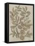 Leaves Sketches I-Asia Jensen-Framed Stretched Canvas