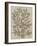 Leaves Sketches I-Asia Jensen-Framed Art Print