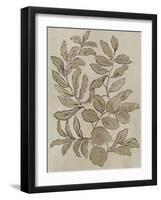 Leaves Sketches I-Asia Jensen-Framed Art Print