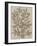 Leaves Sketches I-Asia Jensen-Framed Art Print