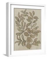 Leaves Sketches I-Asia Jensen-Framed Art Print