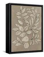 Leaves Sketches II-Asia Jensen-Framed Stretched Canvas