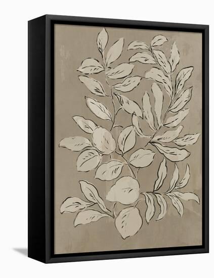 Leaves Sketches II-Asia Jensen-Framed Stretched Canvas