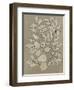 Leaves Sketches II-Asia Jensen-Framed Art Print