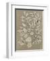 Leaves Sketches II-Asia Jensen-Framed Art Print