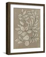 Leaves Sketches II-Asia Jensen-Framed Art Print