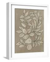 Leaves Sketches II-Asia Jensen-Framed Art Print